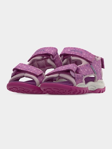 GEOX Σανδάλι 'BOREALIS' σε ροζ