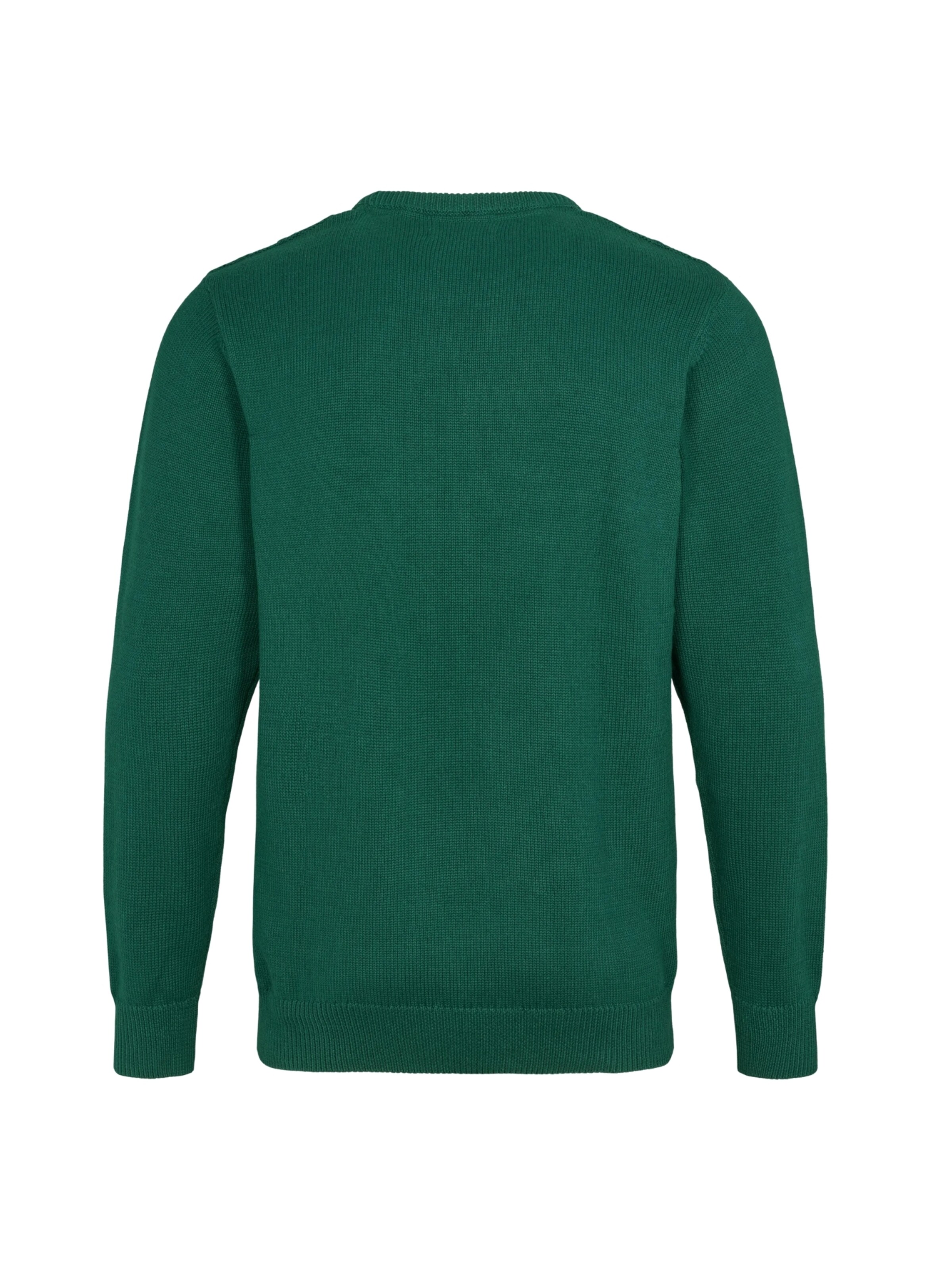 U.S. POLO ASSN. Pullover 'Remy' i grøn