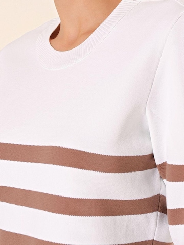 Bigdart Trui in Bruin