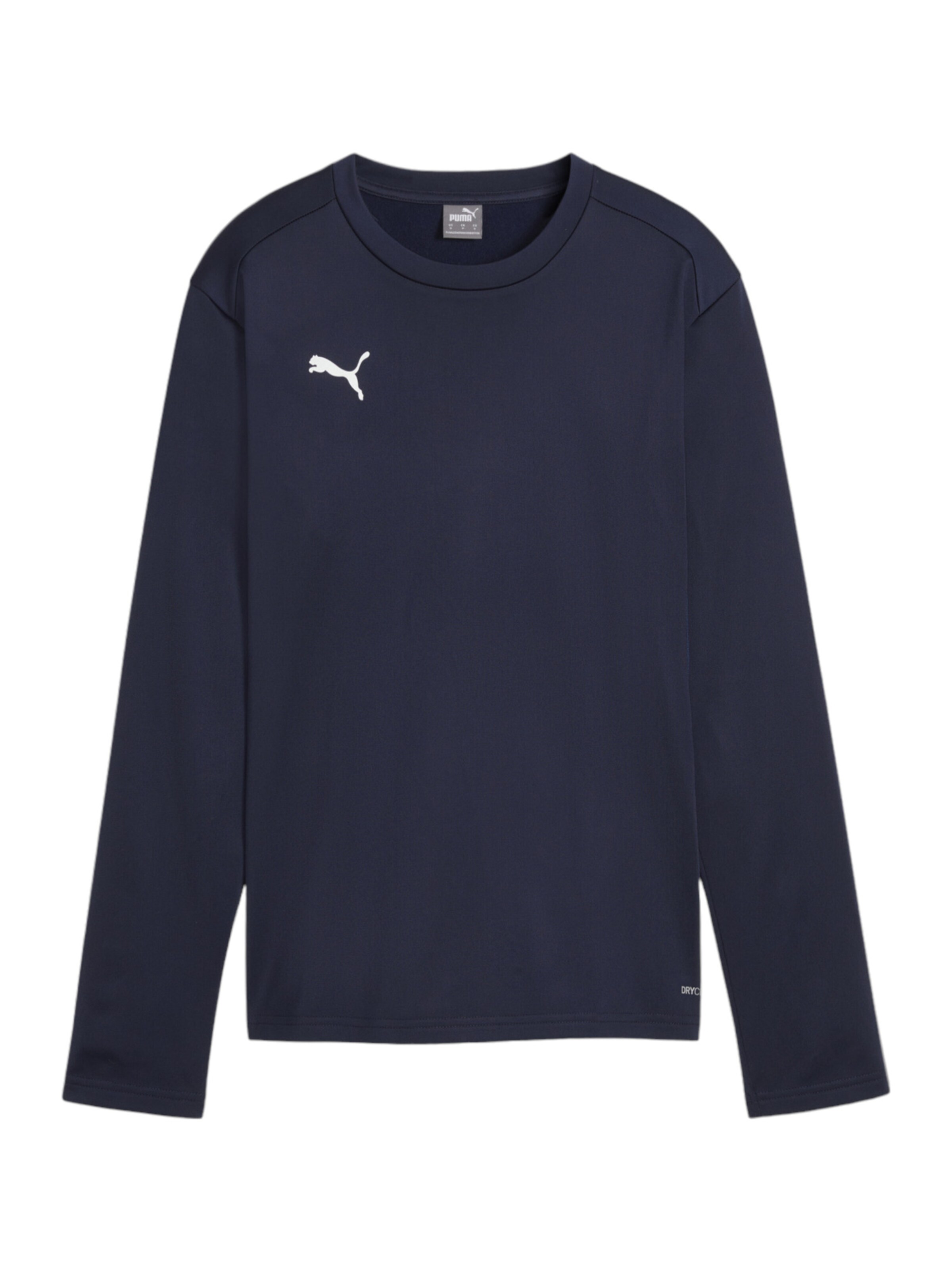 PUMA Sportsweatshirt 'TeamGoal' in Blau: Vorderseite