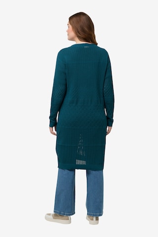 Ulla Popken Knit Cardigan in Blue