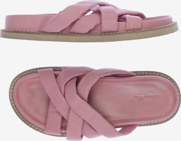 INUOVO Sandals & High-Heeled Sandals in 39 in Pink: front