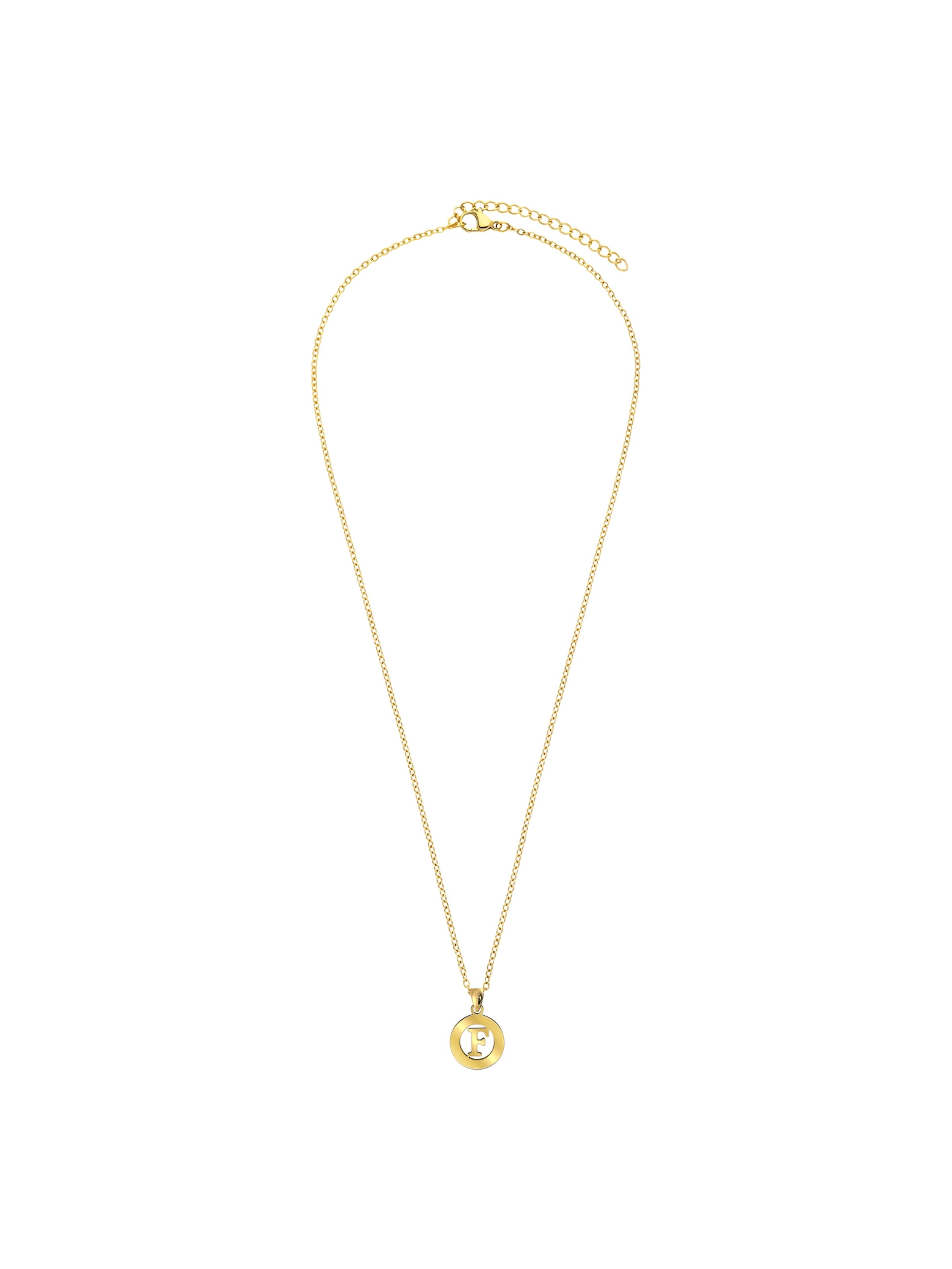 Lucardi Necklace in Gold: front