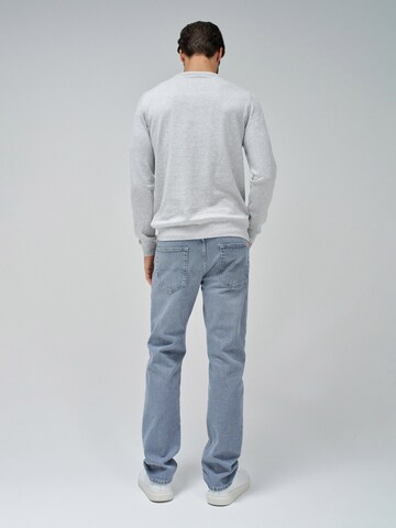Salsa Jeans Pullover in Grau