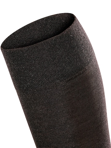 FALKE Over the Knee Socks 'Sensitive Berlin' in Black