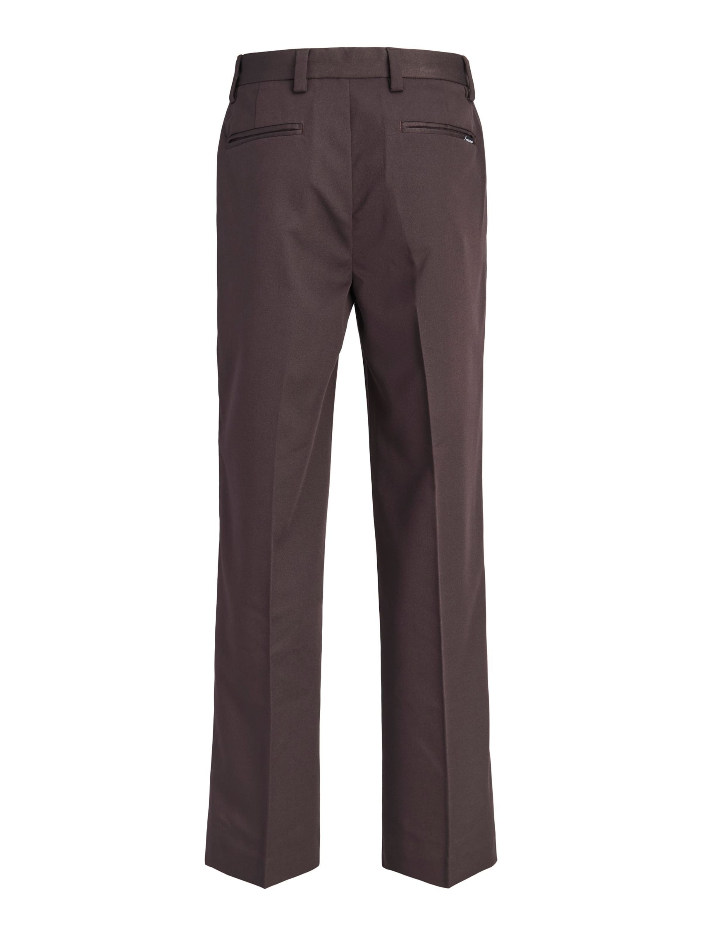Regular Pantalon 'JPSTBill' Jack & Jones Junior en marron