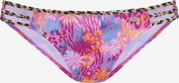 BUFFALO Bikini Bottoms in Pink: front