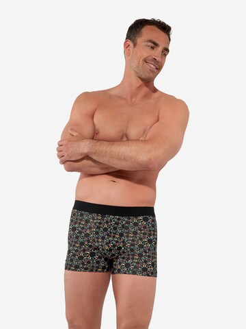 Boxers ' Boxer Briefs Red Rock ' HOM en mélange de couleurs