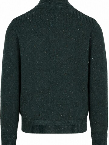 NZA New Zealand Auckland Pullover‌‌‌‌‌‌‌‌ in Grün