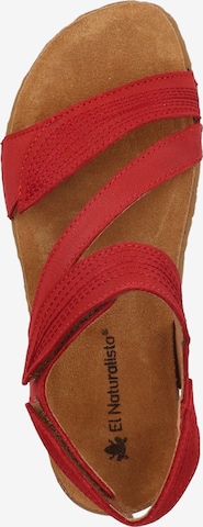 EL NATURALISTA Sandals in Red