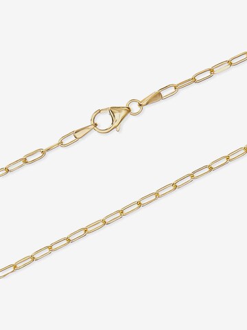 FAVS Kette in Gold