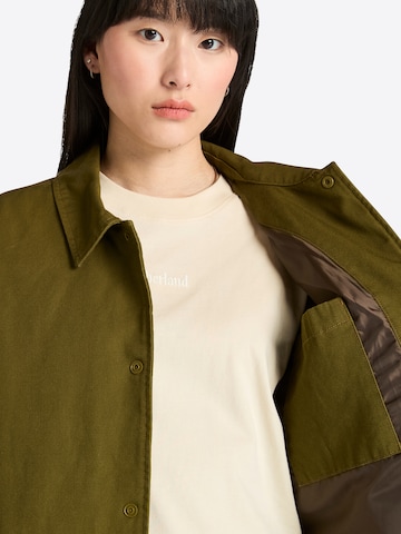 Veste mi-saison TIMBERLAND en vert
