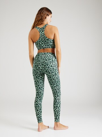 Hey Honey Regular Workout Pants in Green