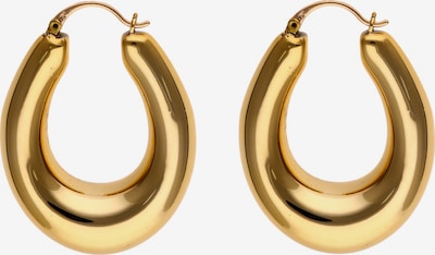 faina Naušnice u zlatna, Pregled proizvoda