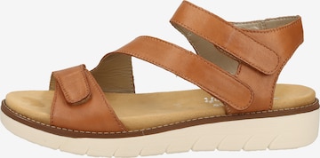 REMONTE Sandals in Brown