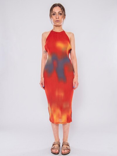 Thinking MU Kjole 'FLOWERS PLEATED MIRIAM DRESS' i 34 i blandingsfarvet, Produktvisning