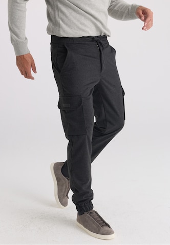 Regular Pantalon Felix Hardy en gris