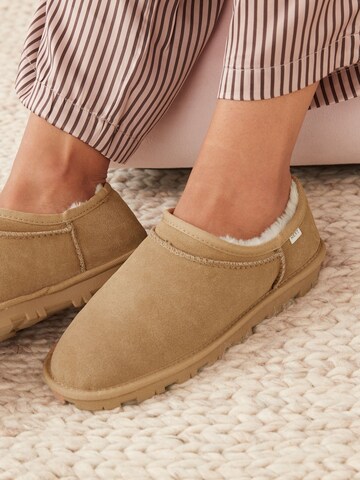 Next Toasuss, värv pruun