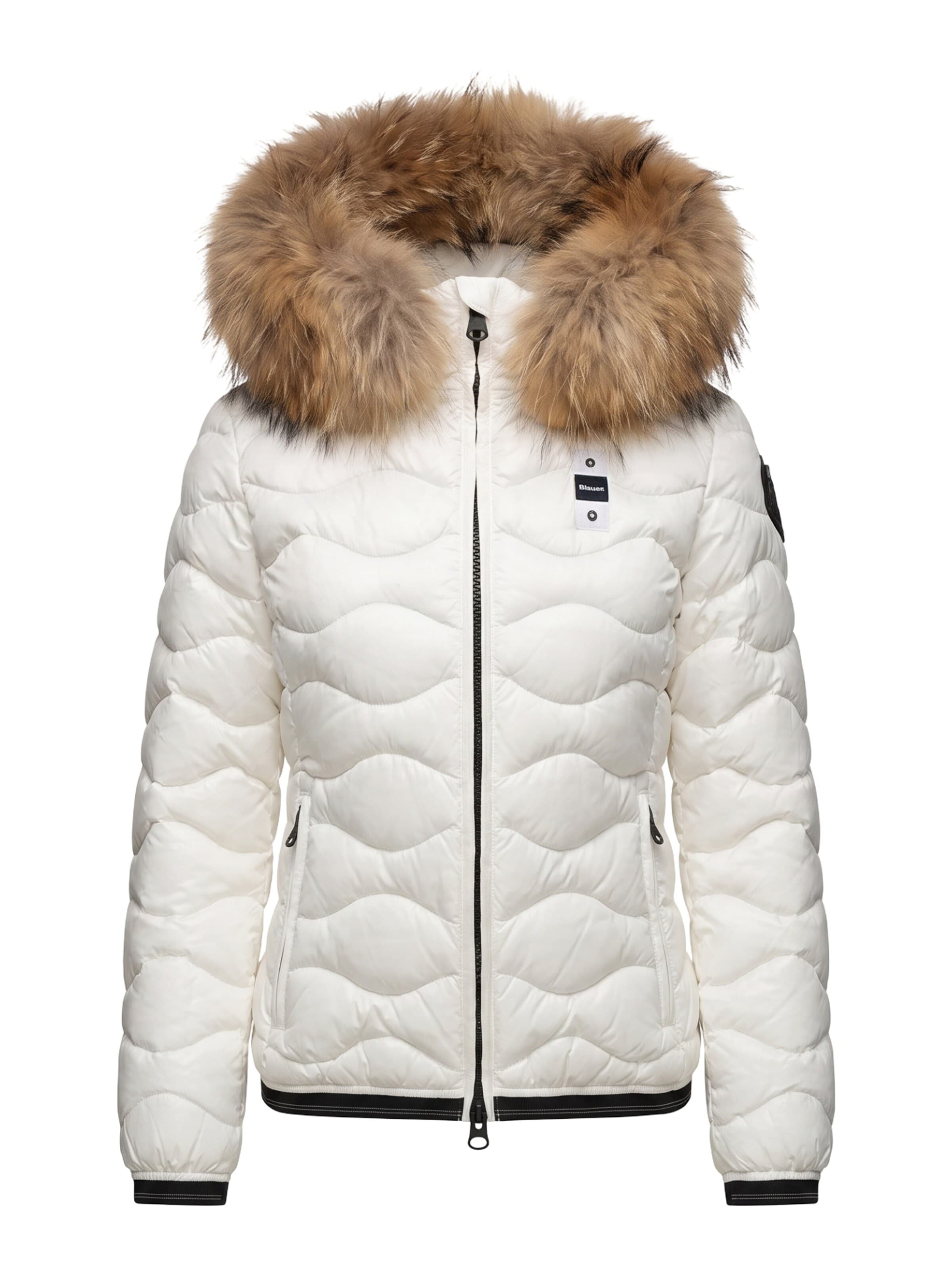 Blauer. Vinterjacka 'ALDIE 26WBLDC03034' i vit: framsida