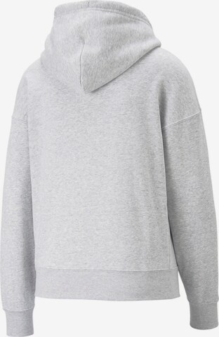 Sweat-shirt 'TEAM' PUMA en gris