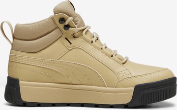 PUMA Athletic Shoes 'Tarrenz SB III' in Beige