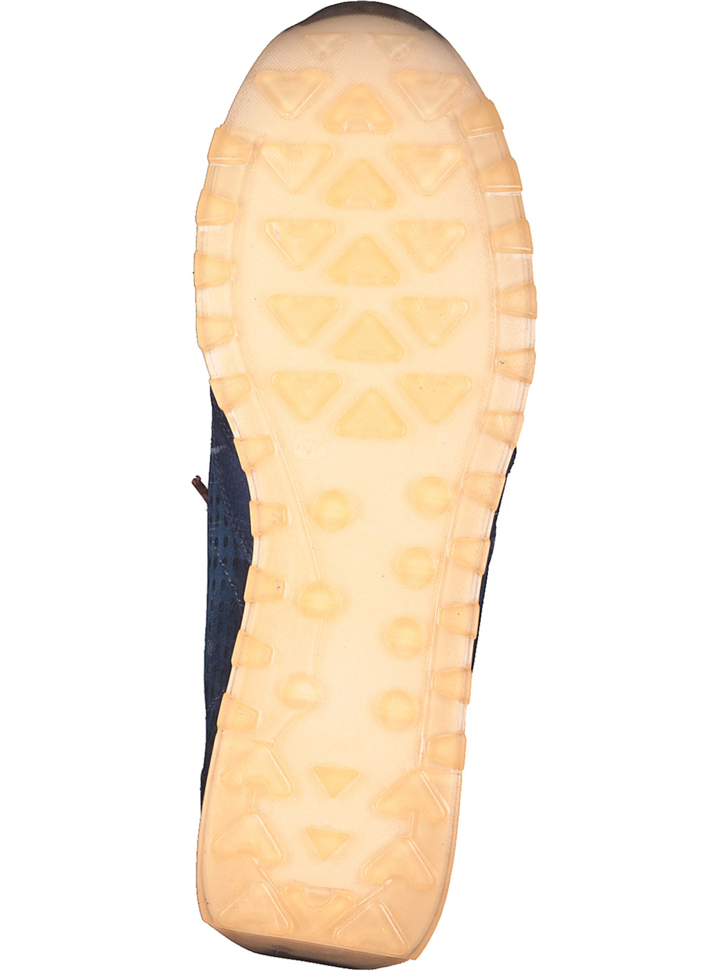 Cetti Sneakers laag 'C848 S M' in Blauw