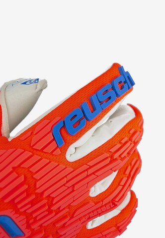 REUSCH Athletic Gloves 'Attrakt Gold X Freegel' in Orange