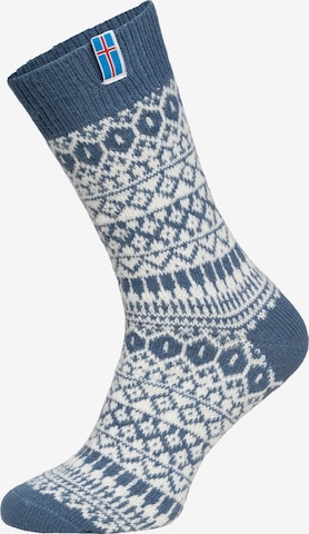 HomeOfSocks Socks 'HOS602' in Blue: front