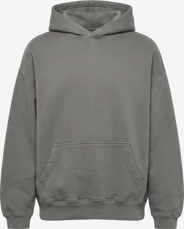 DEF Sweatshirt in Grijs: voorkant