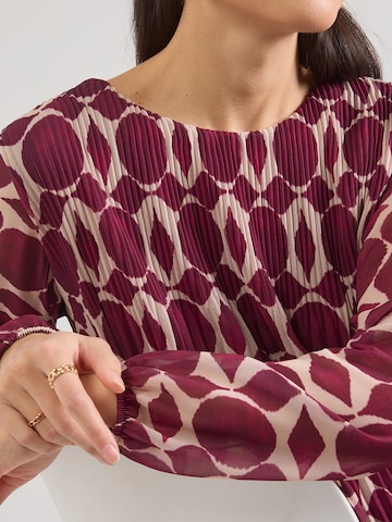 purpurinė ZABAIONE Suknelė 'Sa44raa'