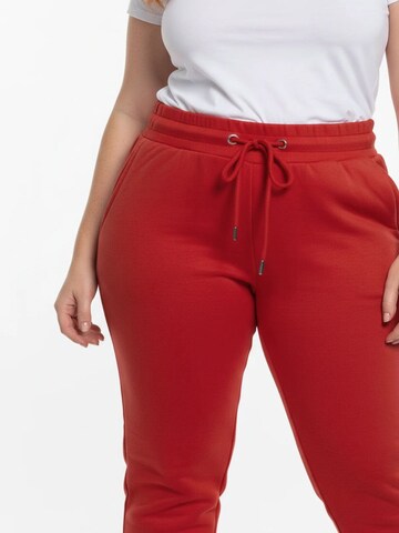 Shape Of You Regular Broek in Rood