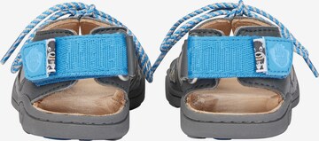 Affenzahn Sandale Leder 'HUND' in Grau