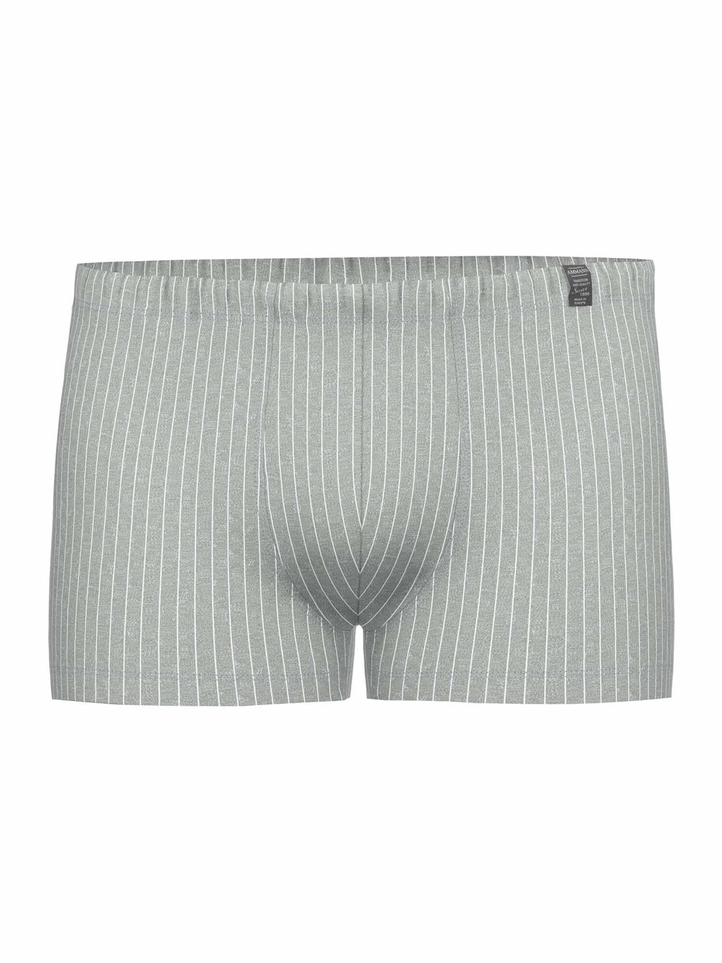Boxers ' Urban Traveller ' Ammann en gris
