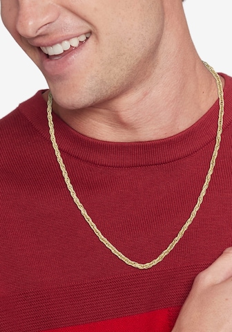 TOMMY HILFIGER Necklace in Gold