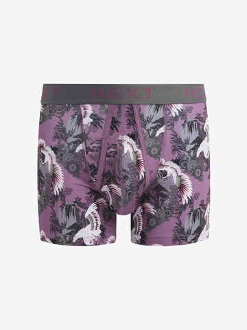 Next Boxer shorts in Blue