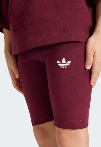Set ADIDAS ORIGINALS en rouge
