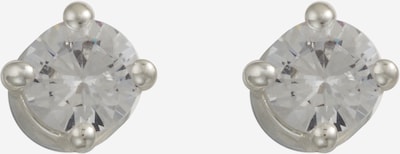 Lauren Ralph Lauren Σκουλαρίκια σε ασημί / διαφανές, Άποψη προϊόντος