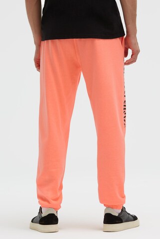 CAMP DAVID Tapered Pants in Orange
