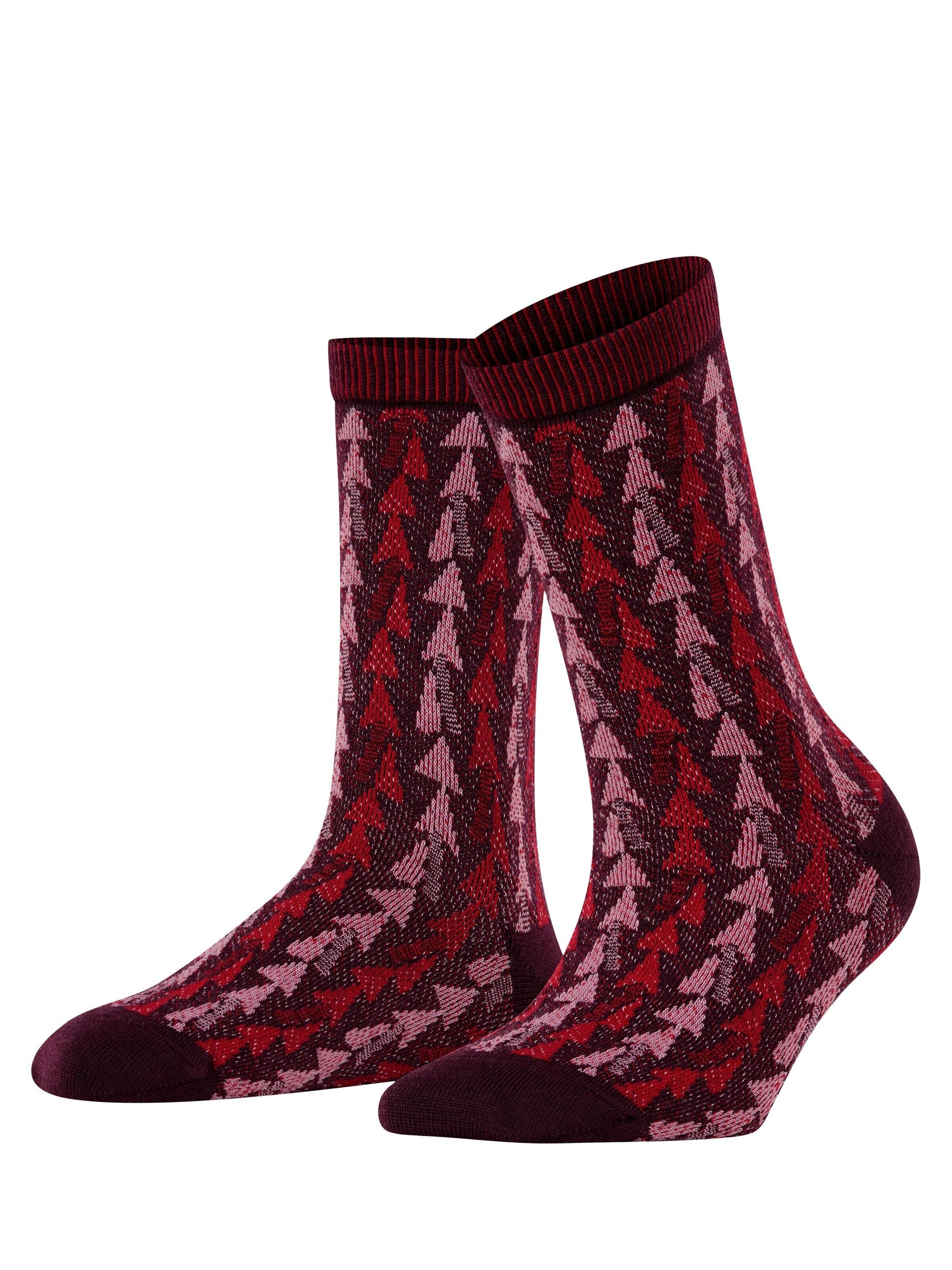 FALKE Socken 'Pinewood'‌‌‌‌‌ in Rot: Vorderseite