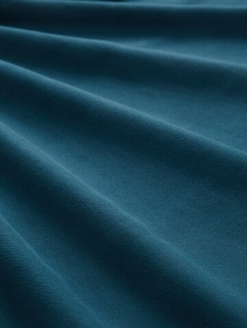 Bluză de molton de la TOM TAILOR pe albastru