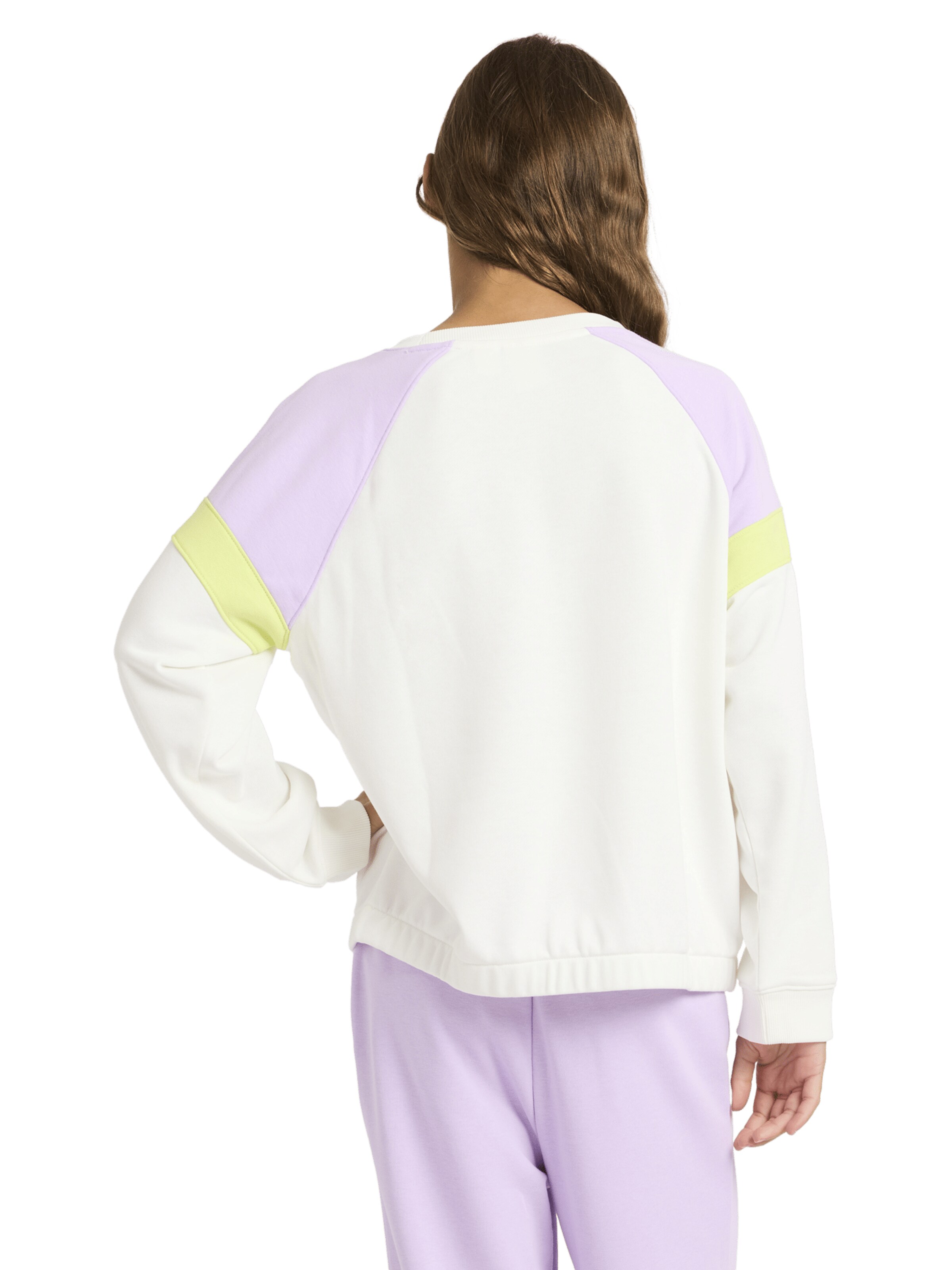 ROXY Sweatshirt 'Swell Spirit ' in White