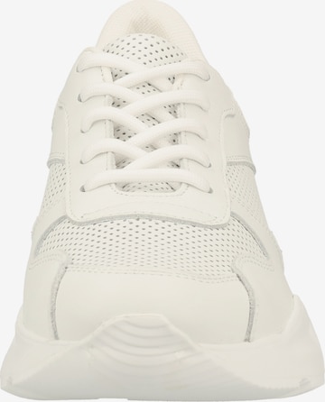 Steven New York Sneakers in White