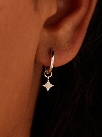 Boucles d'oreilles 'Stern' Lucardi en argent : devant