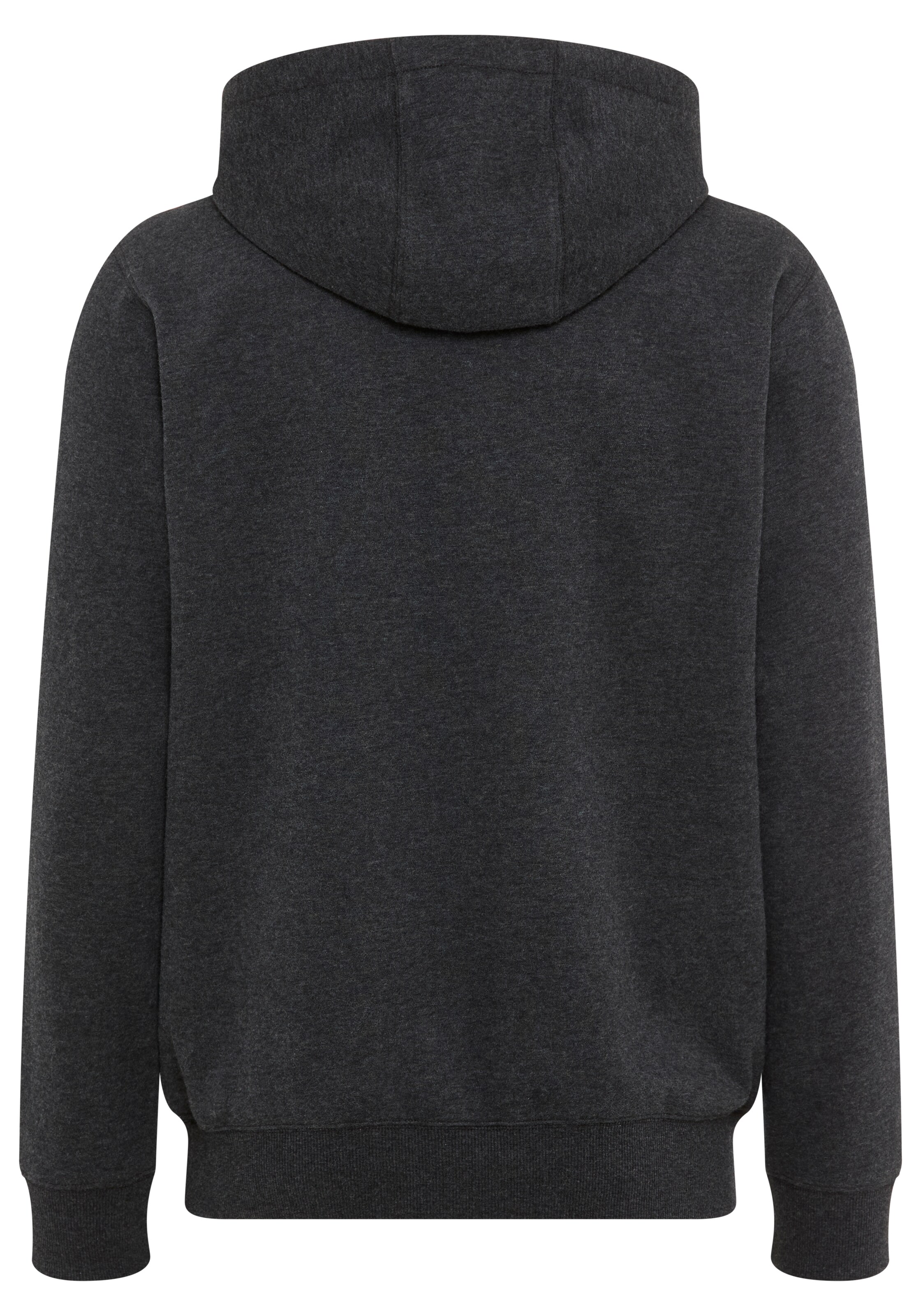 DELMAO Sweatshirt in Grey