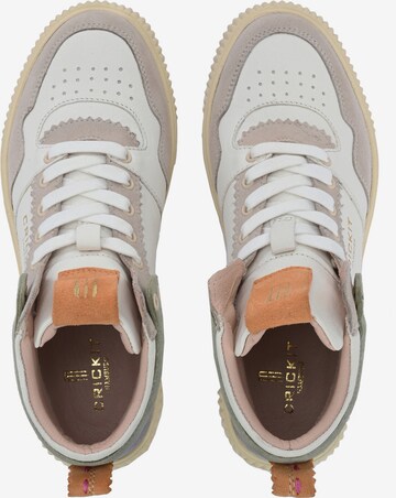 Crickit Sneakers hoog in Gemengde kleuren