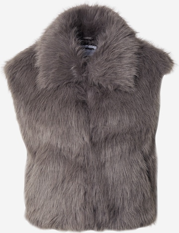 pilka Noisy may Liemenė 'NMEVIE': priekis