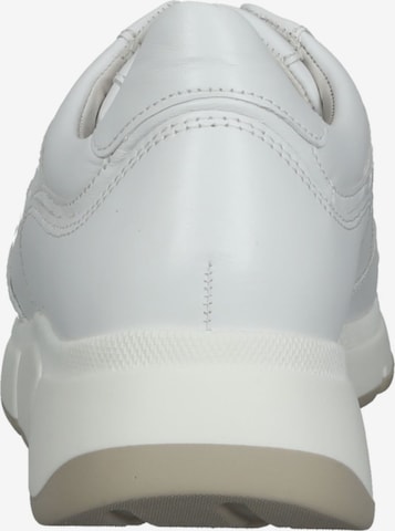 GABOR Sneakers in White