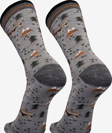 UphillSport Socks 'IBEX' in Grey