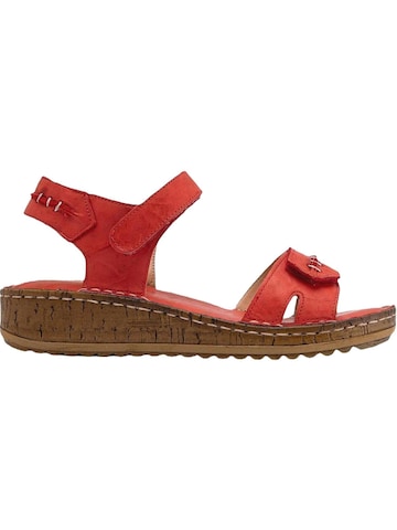 Limoya Sandaal 'Leone' in Rood