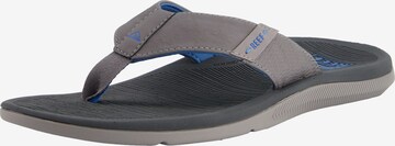 REEF Beach & Pool Shoes 'Santa Ana' in Grey: front